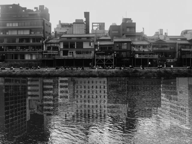 天性 HONSHŌ – 天性 HONSHŌ,2018