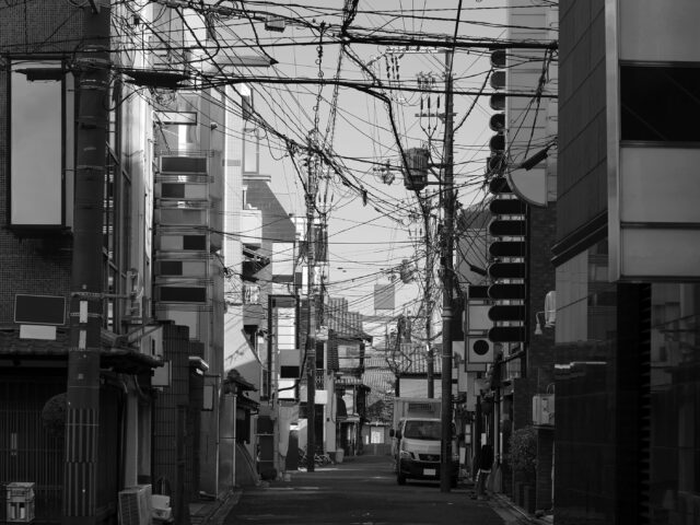 純朴 JUNBOKU – 純朴 JUNBOKU,2018