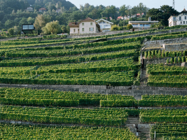 Villa Chardonne, Chardonne. Made in, 2009