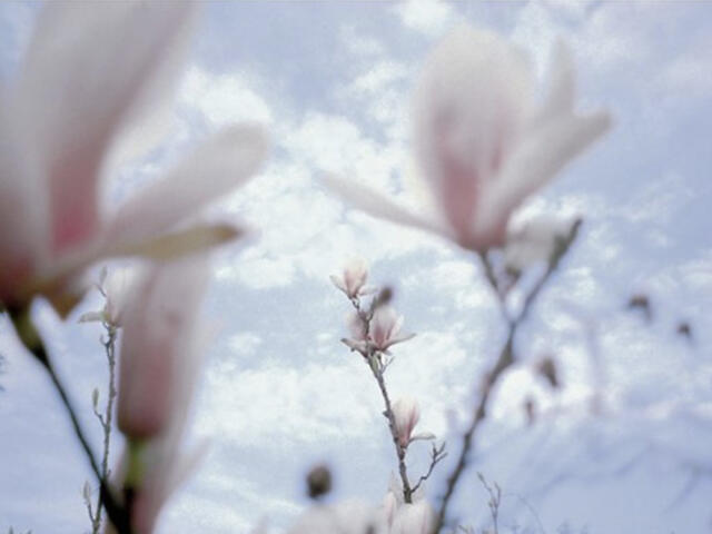 HEG/UNI-Fribourg, Fribourg. Made in, 2023